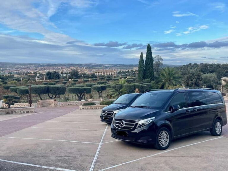 Toledo: Private Minivan tour from Madrid - The Value in Every Stop