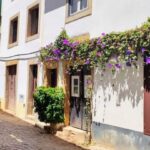 Tomar and Almourol: A Day of Templar Heritage (From Lisbon) - Who Will Love This Tour?