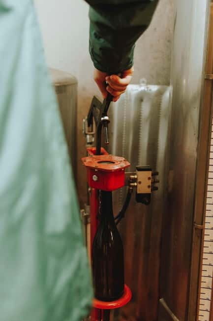 Tomar: Learn About Winemaking with a Tasting - A Closer Look at the Experience