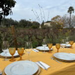 Tomar: Lunch among the vineyards - Practical tips