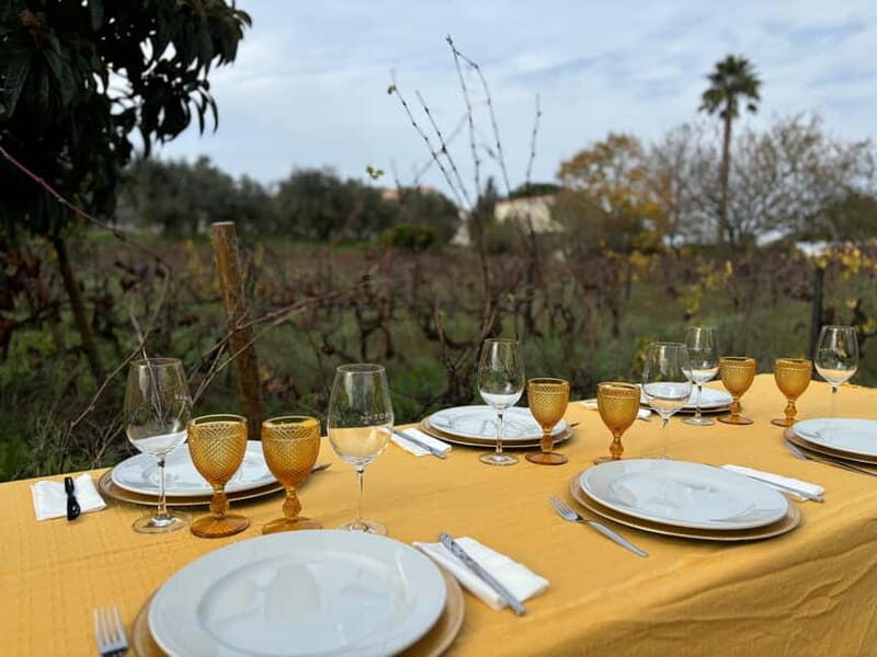 Tomar: Lunch among the vineyards - Practical tips