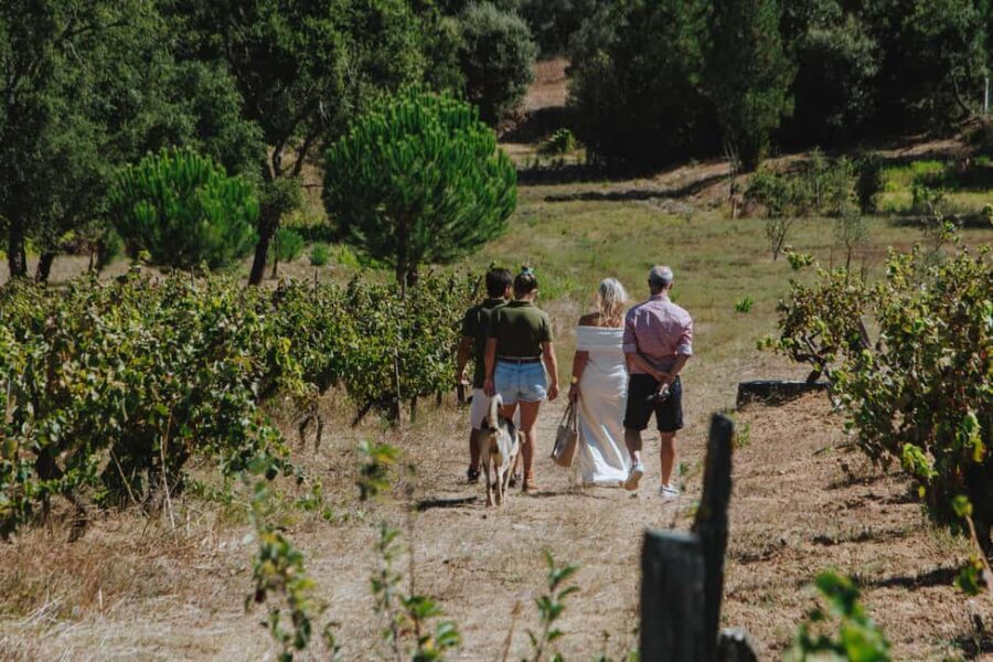 Tomar: Wine Tasting with Vinotherapy - Who Will Love This Tour?