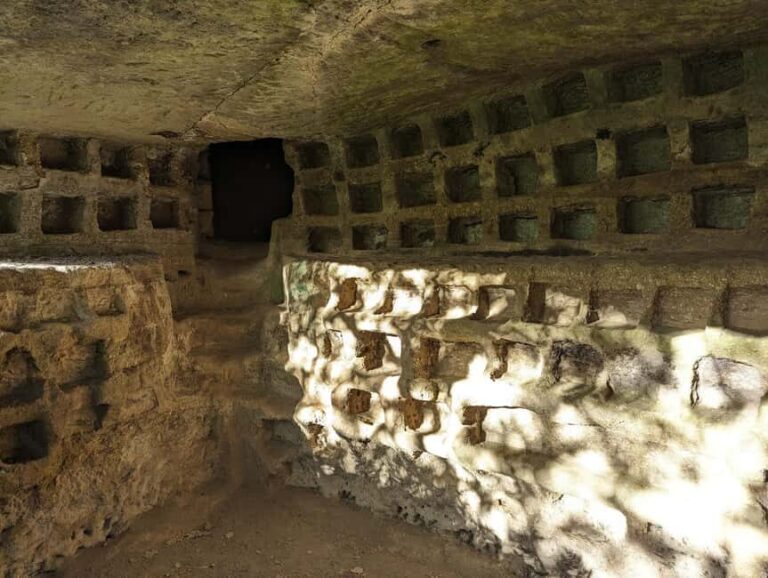 Tomb Hunting and Trekking Adventure in Sovana - Deep Dive into the Experience