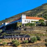 Top Douro from Porto: walk + visit + wine tasting + picnic - The Experience’s Pros and Cons