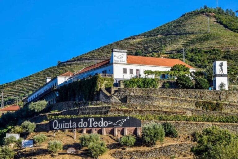 Top Douro from Porto: walk + visit + wine tasting + picnic - The Experience’s Pros and Cons