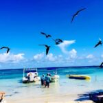 Top Experience: Costa Maya All Inclusive El Faro Beach Club - The Food and Drinks: Tasting the Local Flavors