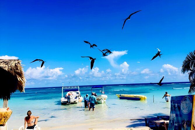 Top Experience: Costa Maya All Inclusive El Faro Beach Club - The Food and Drinks: Tasting the Local Flavors