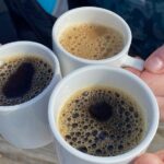 Top of Oslo Snowshoe Tour - Discovering Oslo’s Winter Side: An Honest Breakdown