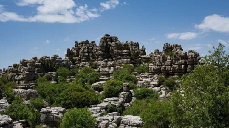 Torcal de Antequera: Geological Route with a Professional Guide - An In-Depth Look at the Tour Experience