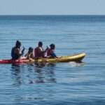Torquay: Kayak Rental with Sit-on-Top and Sit-in Kayaks - The Kayak Options: What You Can Expect