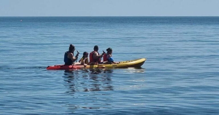Torquay: Kayak Rental with Sit-on-Top and Sit-in Kayaks - The Kayak Options: What You Can Expect