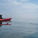 Torquay: Wildlife, Bushcraft and Sea Cave Kayak Safari - The Experience and Its Value