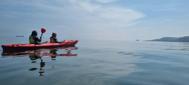 Torquay: Wildlife, Bushcraft and Sea Cave Kayak Safari - The Experience and Its Value