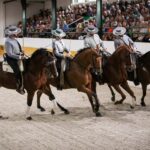 Torremolinos: Spanish horse and flamenco show - What to Expect in Detail