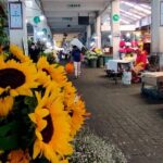 Tortilla Crawl: Food Tour in Mexico City - Final Thoughts