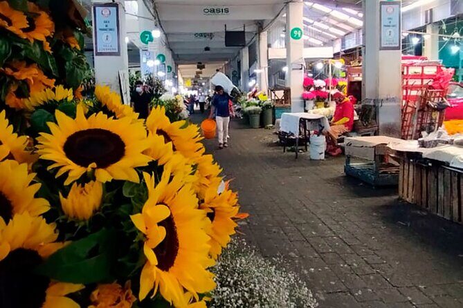 Tortilla Crawl: Food Tour in Mexico City - Final Thoughts