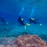 Tossa de Mar: Scuba Diving Experience for Beginners - What Does the Itinerary Look Like?