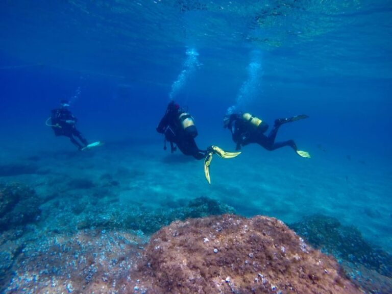 Tossa de Mar: Scuba Diving Experience for Beginners - What Does the Itinerary Look Like?