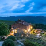 Total Immersion Wine Tour in Chianti - What to Expect from the Tour