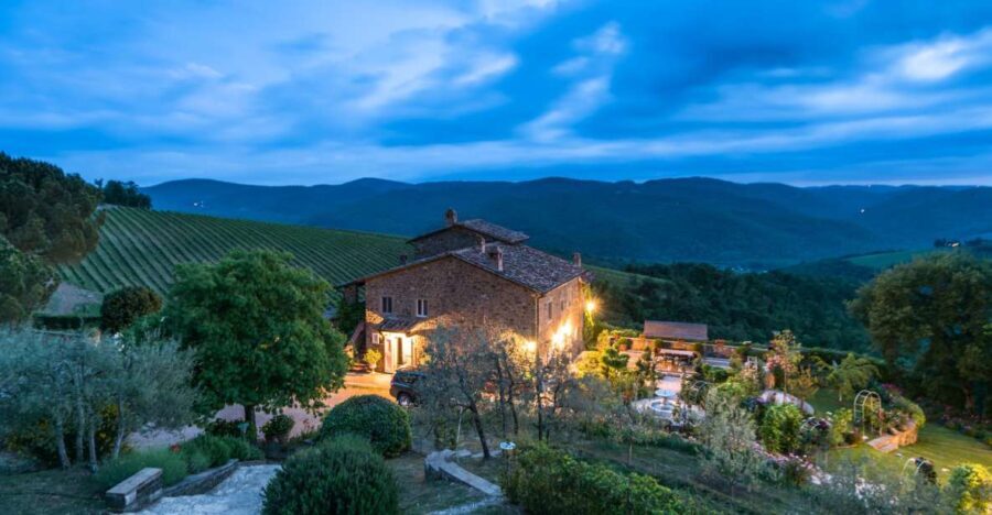 Total Immersion Wine Tour in Chianti - What to Expect from the Tour