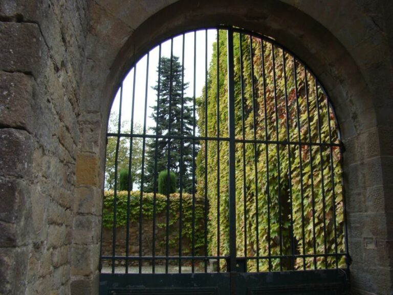 Toulouse to Carcassonne & Albi: Private Sightseeing Tour - Practicalities and Value