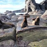 Tour a la Isla Coronados con actividad de esnorquel - Pros and Cons: Is It Worth It?