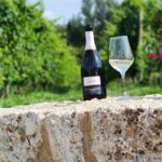 Tour and tasting in the hills of Prosecco Superiore DOCG - The Experience’s Strengths