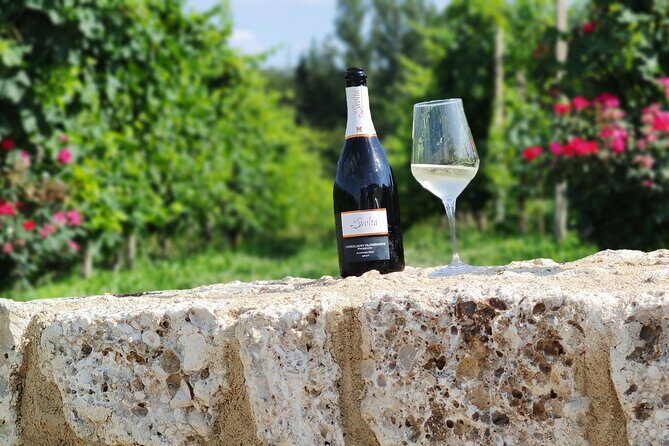 Tour and tasting in the hills of Prosecco Superiore DOCG - The Experience’s Strengths