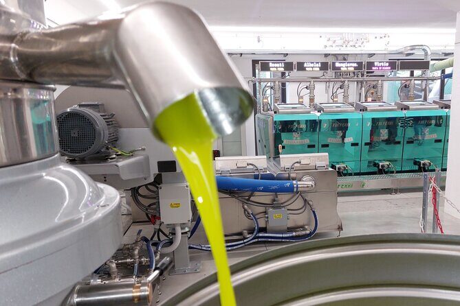 TOUR and TICKETS, VISIT TO THE MILL AND EVO OIL TASTING - Who’s This Tour Perfect For?