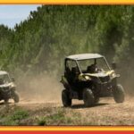 TOUR BUGGY IN BOTICAS AND CHAVES - Exploring the Landscape and Villages