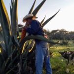 Tour de Pulque en Tepotzotlán, Pueblo Mágico - Who should consider this tour?