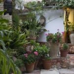 Tour from Alicante to Casa Morisca in Crevillente with Tea and Pastries in a Van - Exploring the Journey to Casa Morisca