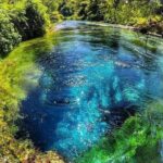 Tour Gjirokaster,Blue Eye & Lekursi Castle - Gjirokaster – The Old Town’s Charm