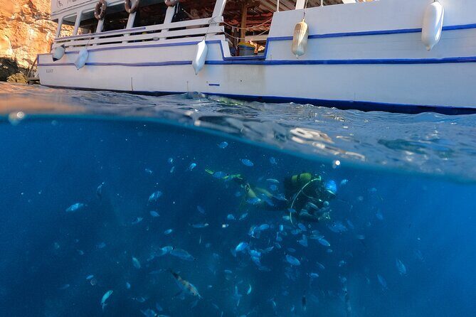 Tour in Alanya with Lunch and Guided Scuba Dives from Side - What to Expect from the Tour