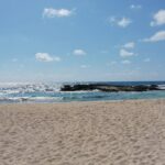 Tour in Buggy Cedral History Snorkeling and Lunch in Cozumel - Who Is This Tour Best Suited For?