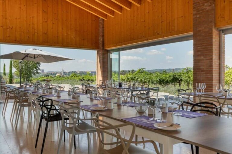 Tour in Valpolicella: wine, oil, and peach tasting - What Makes This Tour Stand Out?