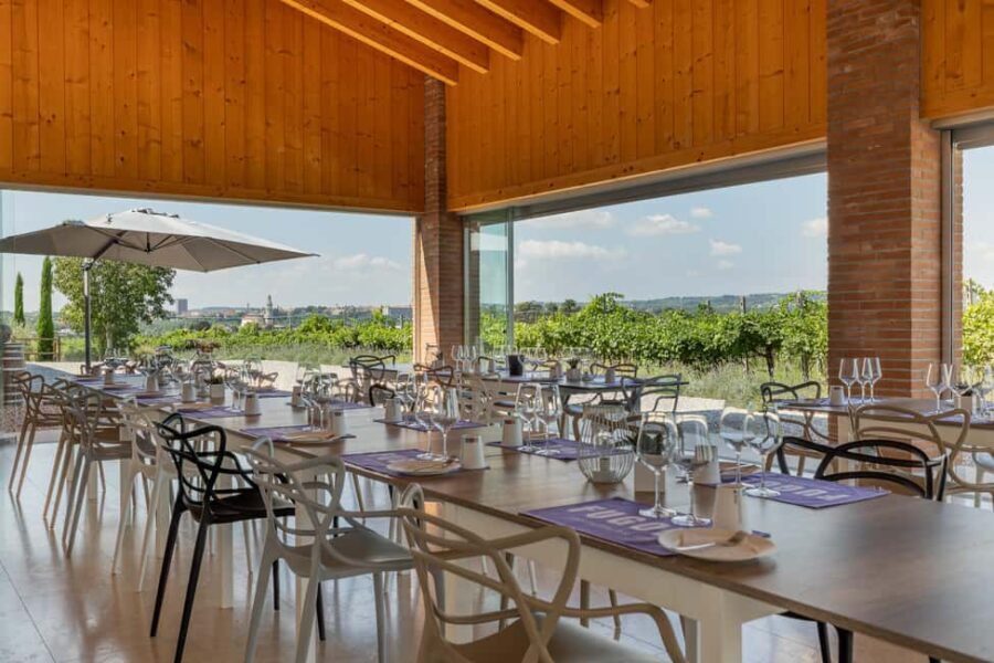 Tour in Valpolicella: wine, oil, and peach tasting - What Makes This Tour Stand Out?