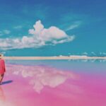 Tour Las Coloradas - The Highlights in Detail