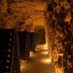 Tour of a Vineyard, Winery & Cellar with Wine Tasting in Vouvray, Loire Valley - What Do Travelers Say?