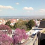 Tour of Arrábida and beautiful landscapes and wine tasting - Practical Details: Transport, Timing, and Cost