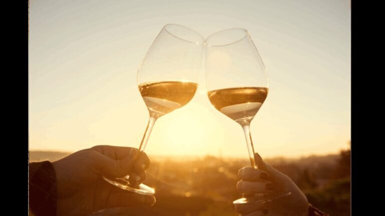 Tour of Machiavelli's House & Dinner with Wine Tasting - Who Should Consider This Experience?