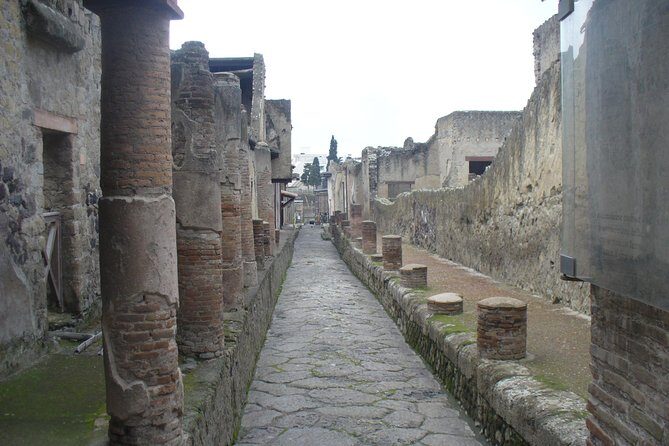 Tour of Mt. Vesuvius+Pompeii+Herculaneum (Full Day) - Who Is This Tour Best Suited For?