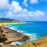 Tour of North Shore & Waimea Waterfall - Practical Details and Tips