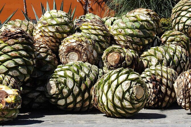 Tour of Puebla and tour of Atlixco (private tour) - Who Is This Tour Best For?