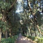 Tour of the Historical Museum and Miramare Castle Park in Trieste - The Sum Up: Who Is This Tour Best For?