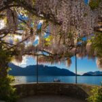 Tour of the most beautiful Villas of Lake Como - Key Points