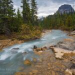 Tour of Yoho National Park See Canada's Second Highest Waterfall - The Guides: Knowledgeable and Friendly