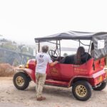 Tour Porto: Classic Adventure in Electric Tuk Tuk - The Itinerary and Highlights