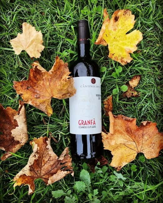 Tour & Tasting at Cantine Capitani - The Itinerary in Detail