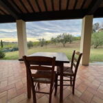 Tour & tasting at Tenuta la Viola - Who Would Enjoy This Tour?